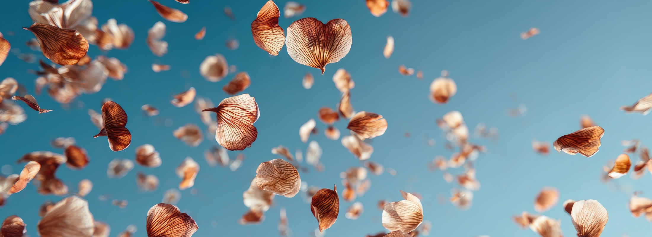 Service Banner - Gulf Air