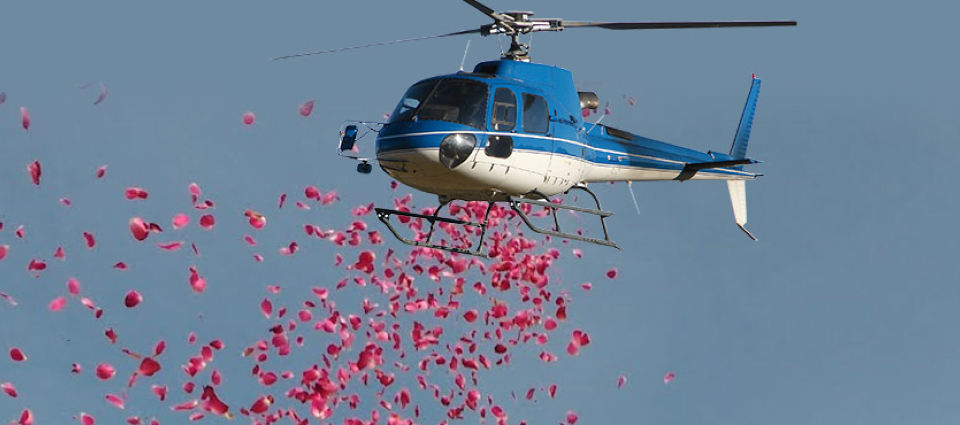 flowerdrop Service Banner - Gulf Air